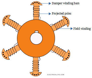 Salient pole type rotor